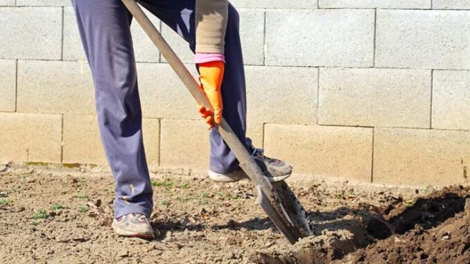 c050062793cb16a60700b21d4f33dab5